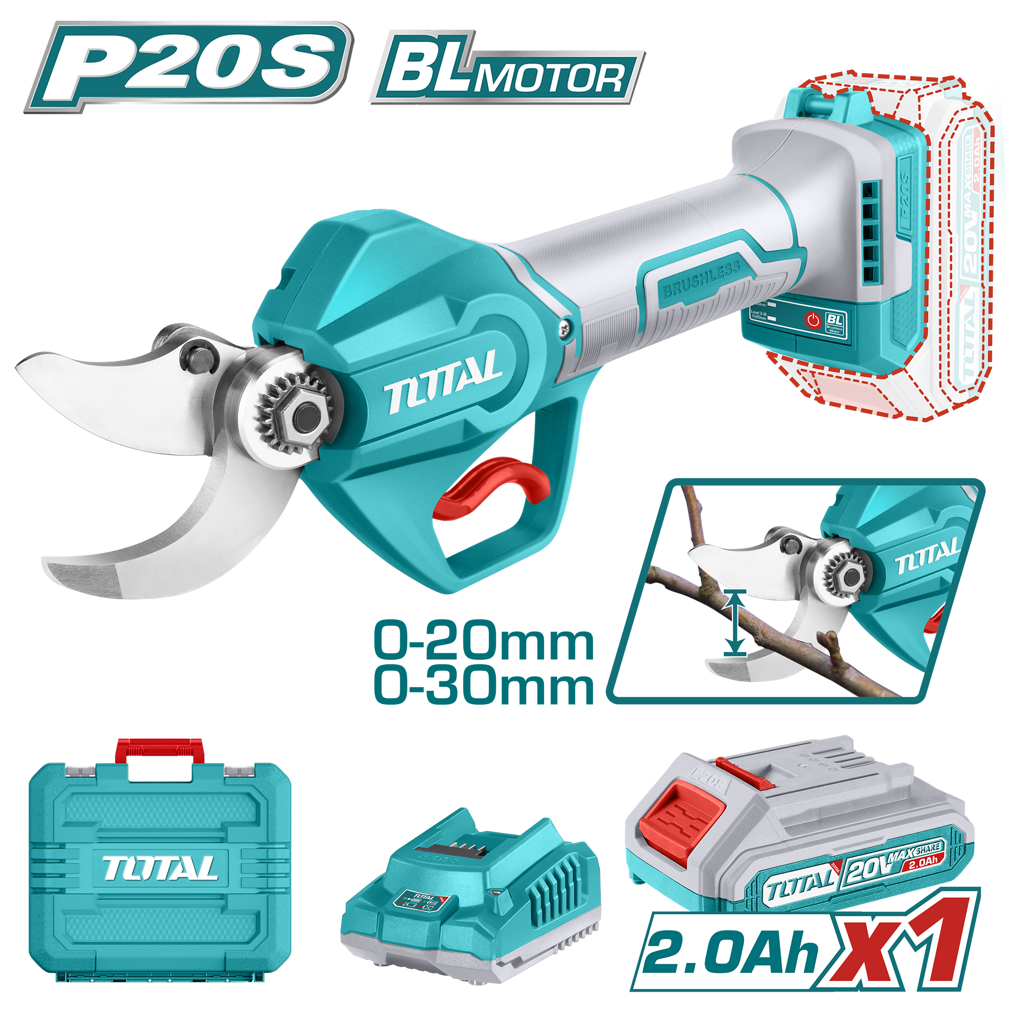 P20S Lithium-ion